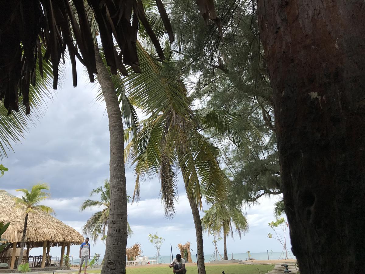Royal Beach อารูกัมเบย์ ภายนอก รูปภาพ