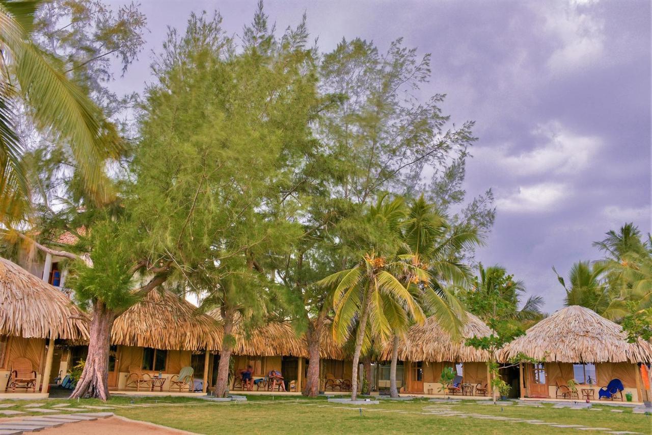 Royal Beach อารูกัมเบย์ ภายนอก รูปภาพ